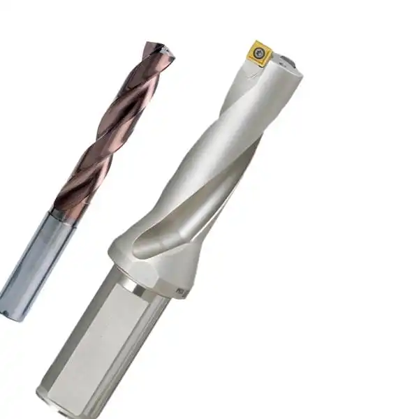 holemaking cat Home Categories